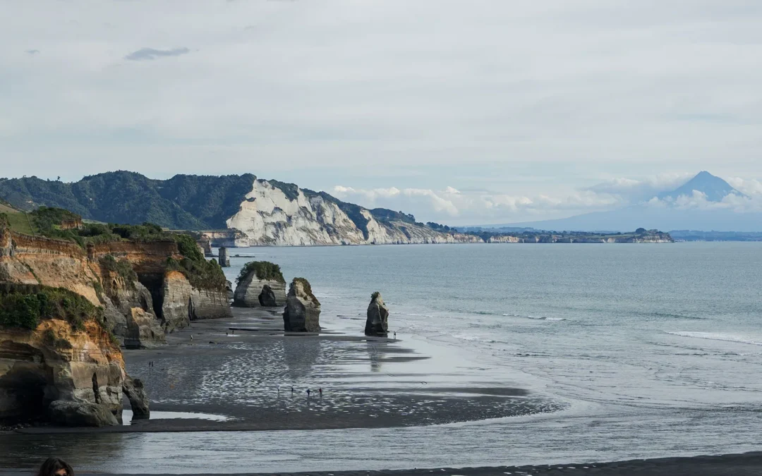 A taonga slipping away: protecting Taranaki’s longfin eels